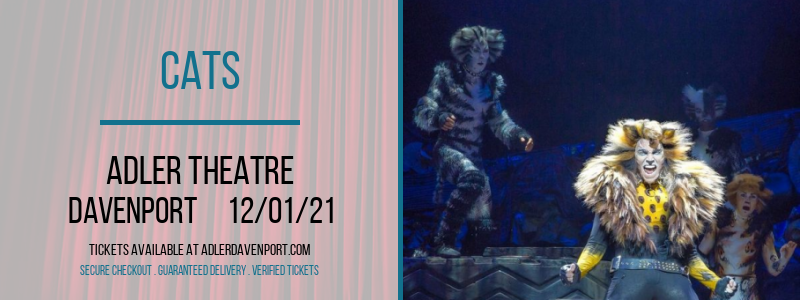 Cats at Adler Theatre tickets Cats at Adler Theatre